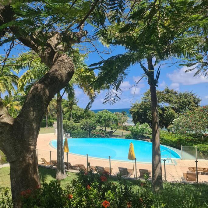 Magnifique Studio Pierre Et Vacances Piscine & Plage Sainte-Anne (Grande-Terre) Eksteriør billede